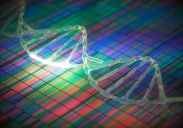 表观遗传大牛张元豪nature子刊发表重要研究成果：t Atac Seq 测序中国