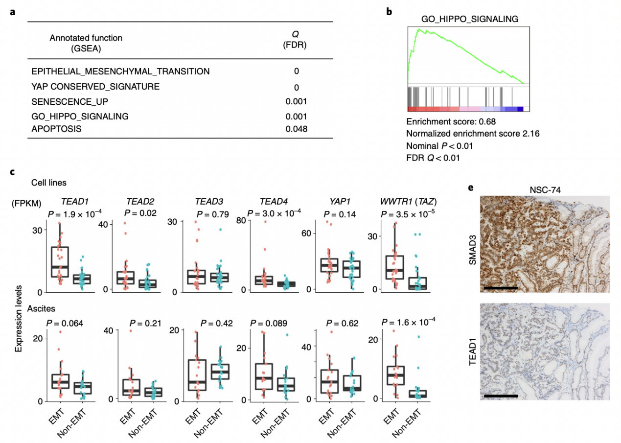 Nature Cancer Wgsrna Seqdna Seq Cn