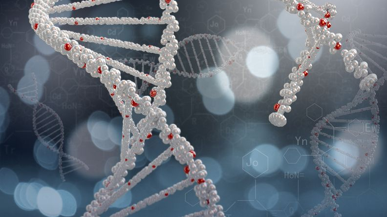 Nucleic Acids Res Rims Seq Seq Cn