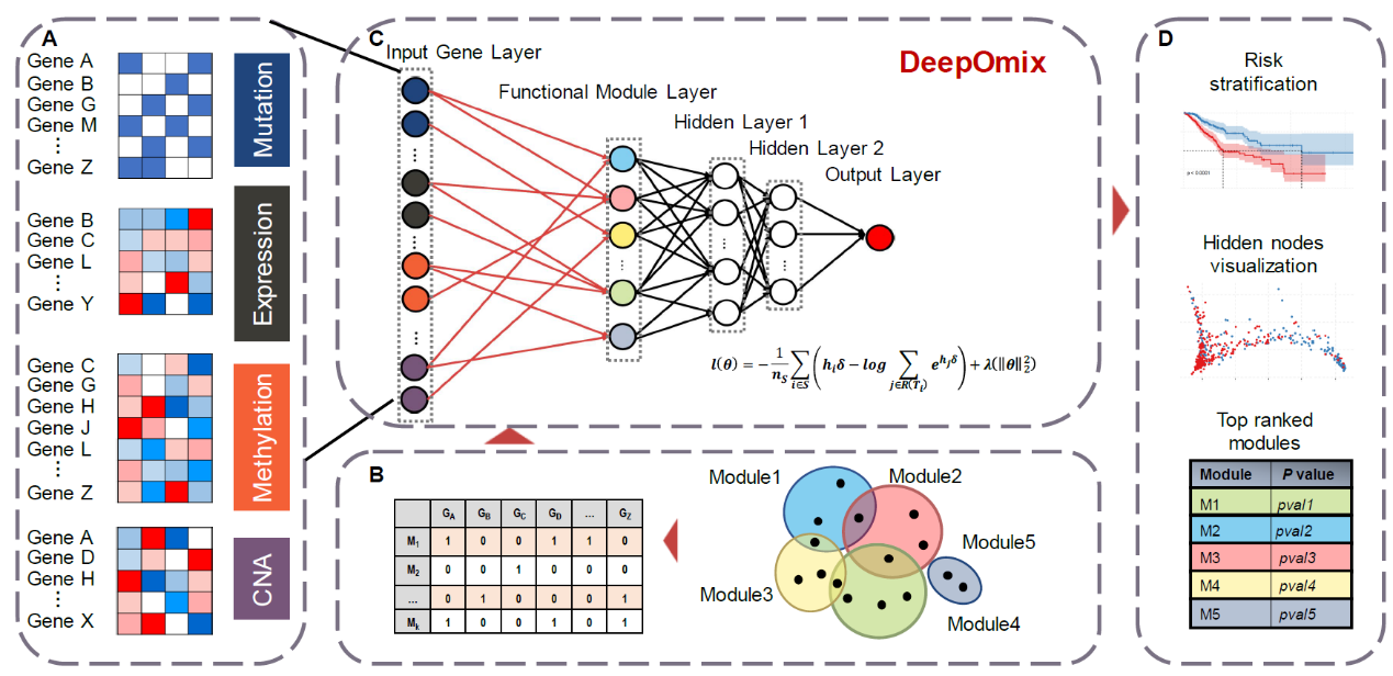 中科院计算所赵屹团队发表多组学数据融合深度学习框架——deepomix Seq Cn