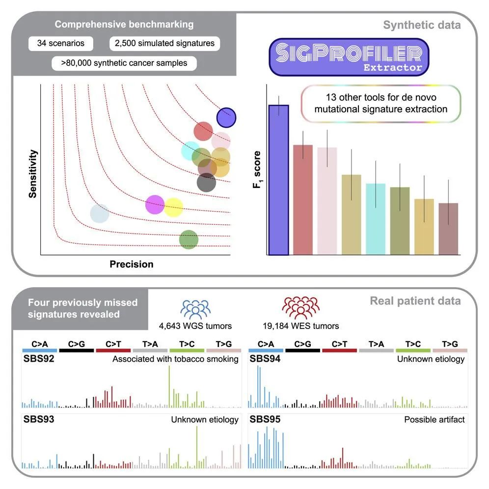 De Novo提取算法SigProfilerExtractor在癌症基因数据中发现4种新突变特征 | Cell Genomics – SEQ.CN