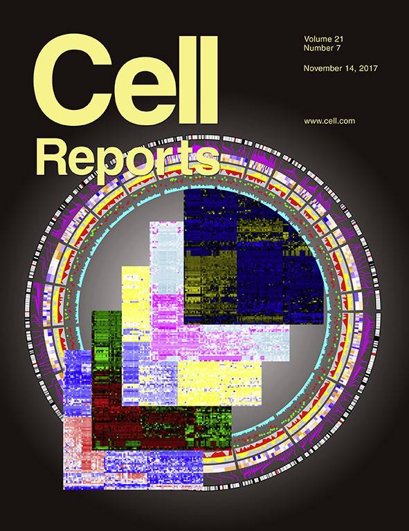 德州大学与华中科大研究组发表cellreports封面文章揭示核仁小rna与